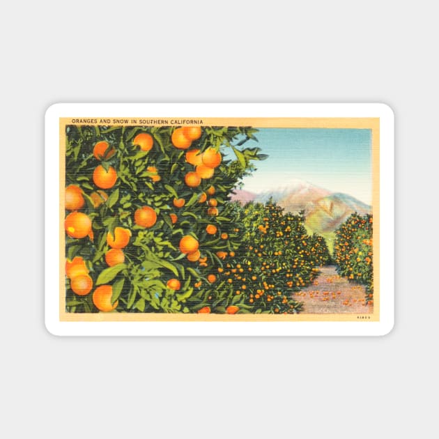 Oranges and Snow in Southern California Postcard Magnet by WAITE-SMITH VINTAGE ART