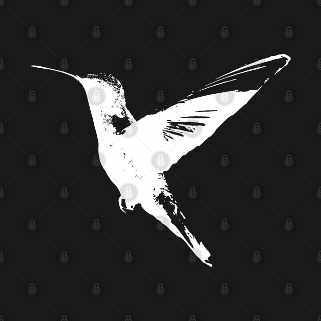 Hummingbird by stax