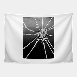 Spider Lace 3 Tapestry