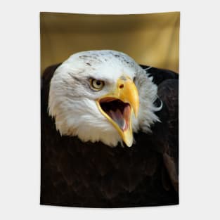 American Eagle Tapestry