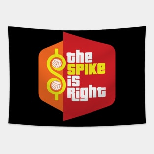 The Spike Is Right - Volleyball Tapestry