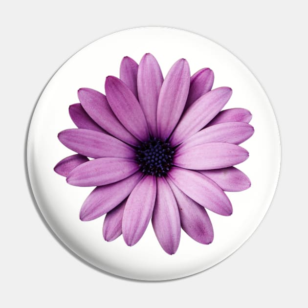 Large Flower Pin by In Beauty We Trust