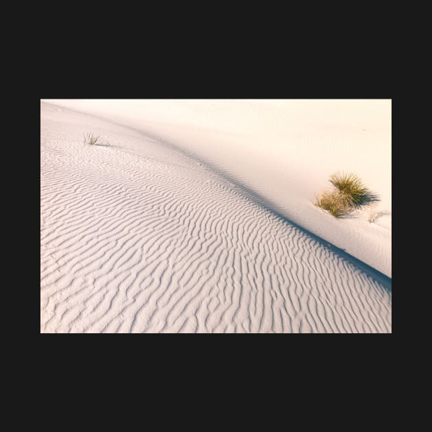 Sand Patterns by jvnimages