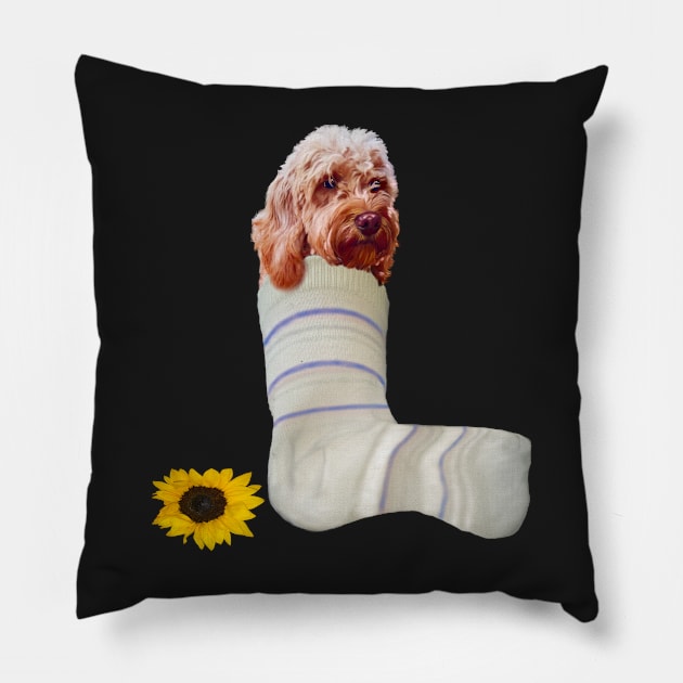 cavalier king charles spaniel Cava in a sock Cavapoo Cavoodle puppy - cute cavalier king charles spaniel Pillow by Artonmytee