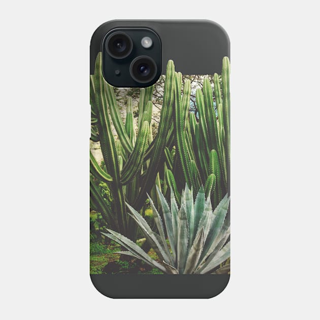 Cacti Growth Phone Case by Admkng