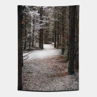 Photo of Mysterious Forest Trail Covered with Snow V2 Tapestry