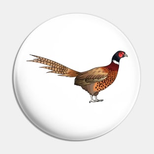 Ring-necked pheasant bird cartoon illustration Pin