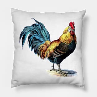 Cock Rooster Pillow