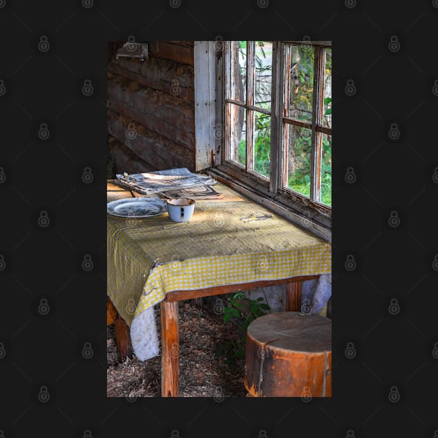 USA. Alaska. Chena Village. Abandoned Cabin. Interior. by vadim19