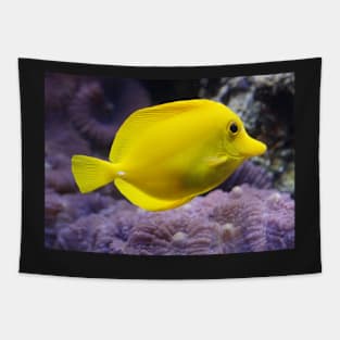 YELLOW REEF FISH IN ALL IT'S GLORY IN THE BLUE OCEAN DESIGN Tapestry