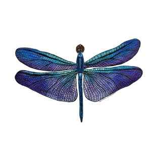 Blue-purple Dragonfly T-Shirt