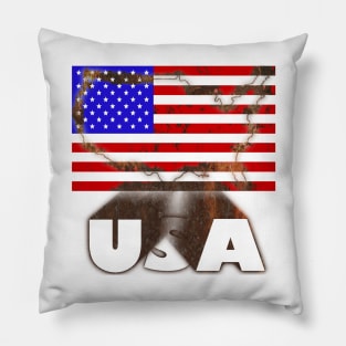 USA 3D Rustic Map Flag Pillow