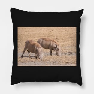 A pair of Warthog grazing in the Ngorogoro Crater Pillow