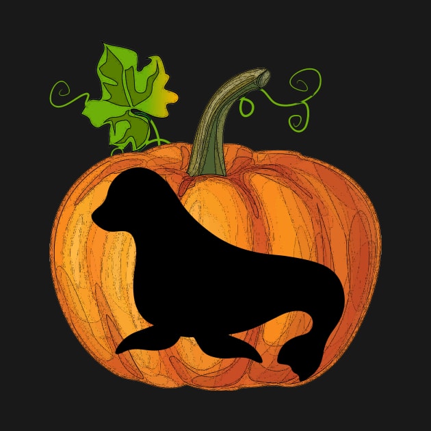 Seal in pumpkin by Flavie Kertzmann