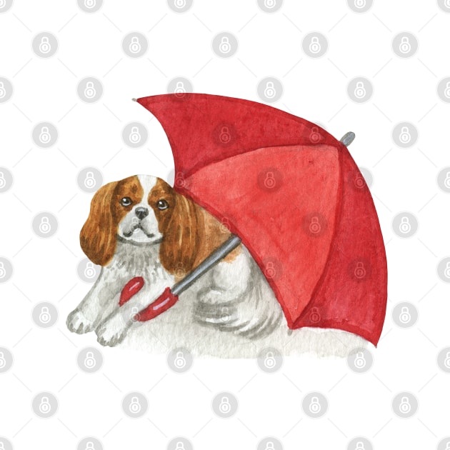 Cavalier King Charles Spaniel - Red Umbrella Blenheim by jollyinu