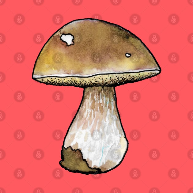 King Bolete by ThisIsNotAnImageOfLoss