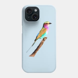 Colourful Lilac-breasted Roller Phone Case