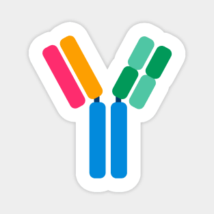 Colourful Antibody Structure Biology Diagrams Magnet