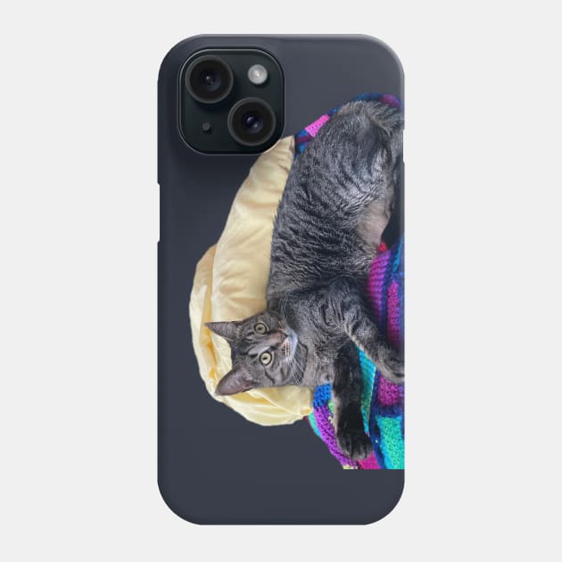 Confident Tabby Phone Case by Amanda1775