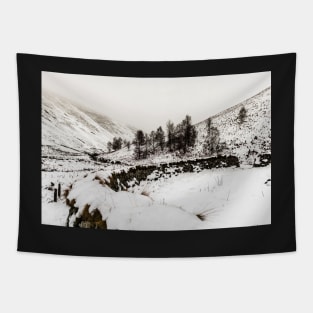 Winter In The Coquet Valley Tapestry