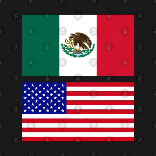 The American and Mexican Flag by Islanr