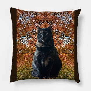 My Other Autumn Kitty Pillow