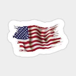 Stars & Stripes Splendor: A Patriotic Palette Magnet