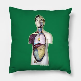 Mr. Guts: Anatomical Model Pillow