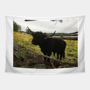 Scottish Highland Cattle Dark Black Bull 2089 Tapestry