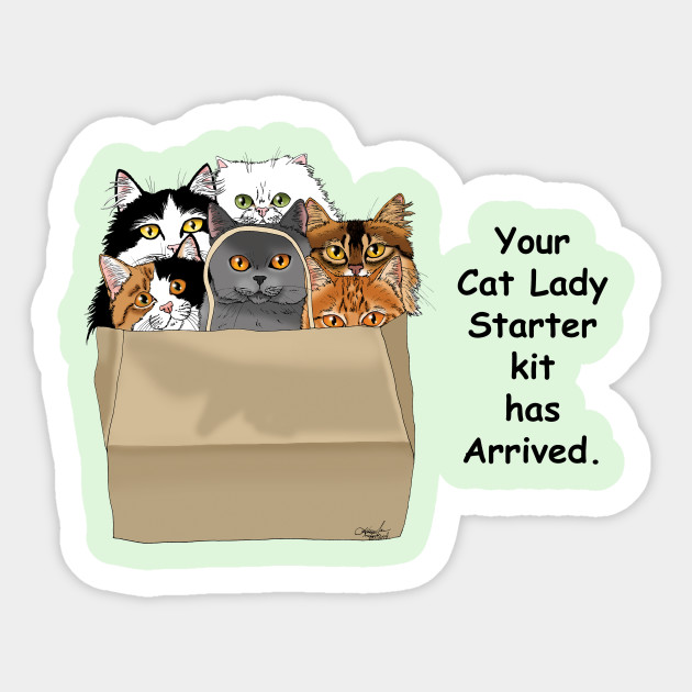Cat Lady Starter Kit Cat Lady Starter Kit Sticker Teepublic Au