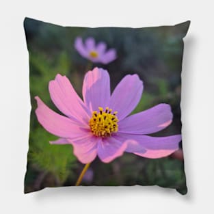 Cosmos Pillow