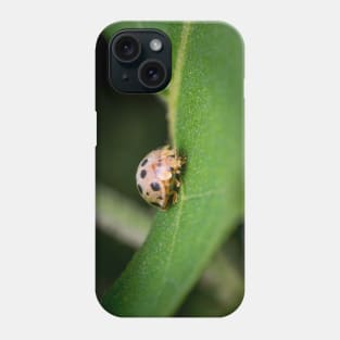 The silly 28-spotted potato ladybird managed to roll itself back on its feet Phone Case