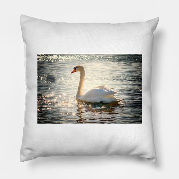 Swan in Sunlight Pillow by kawaii_shop