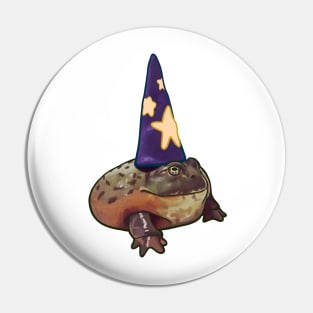 Chunky Toad Wizard Frog Humor Halloween Costume Pet Portrait Pin