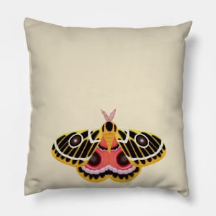 free moth Pillow