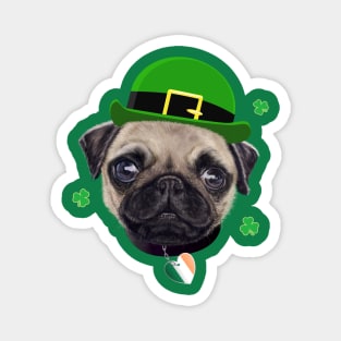 Pug Dog St Patrick’s Day Irish Flag And Shamrocks Magnet