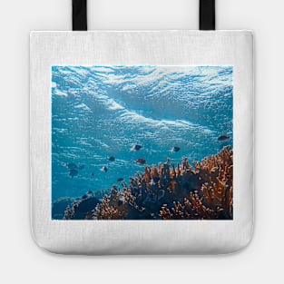 Underwater photography Tote