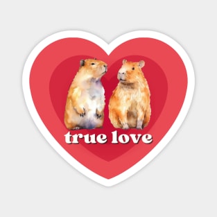 Two Cute Capybaras in Love, Surrounded by Red Hearts. Perfect for Capybara Lovers Magnet