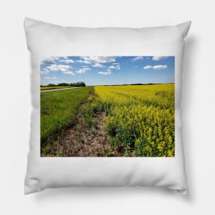 Country Road take me home Pillow