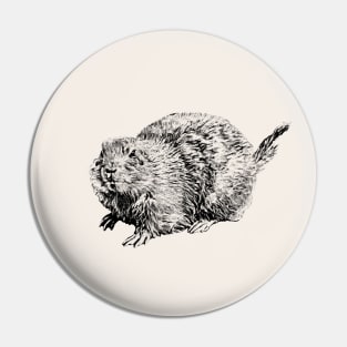 Prairie dog Pin