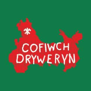 Cofiwch Dryweryn Wales T-Shirt