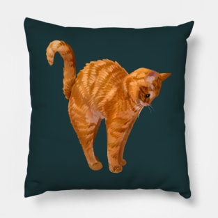 Orange Stretch Pillow