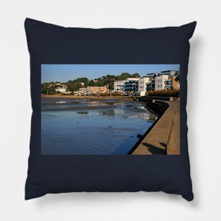 Banks Road Pillow