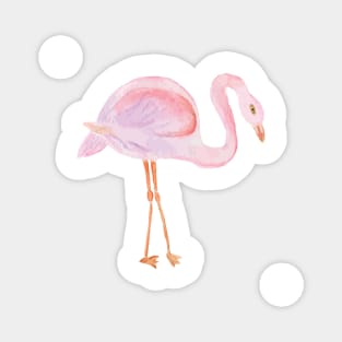 Watercolor Pink Flamingos Magnet