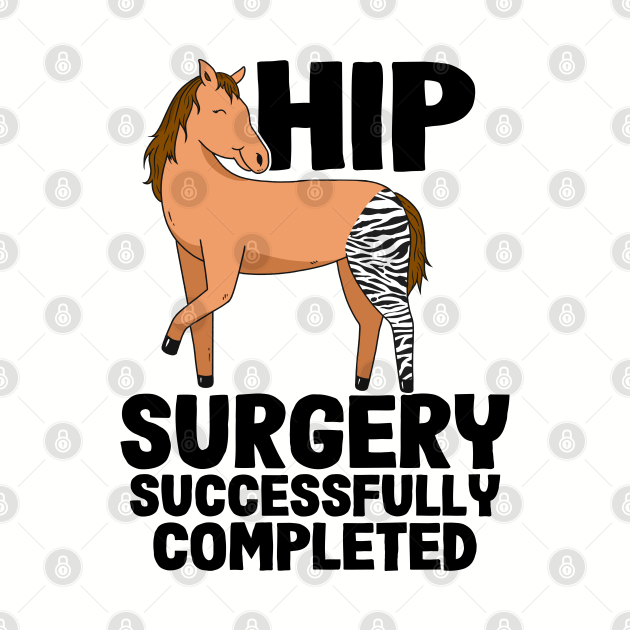 Hip Surgery Successfully Completed Horse Zebra Leg Hip Surgery