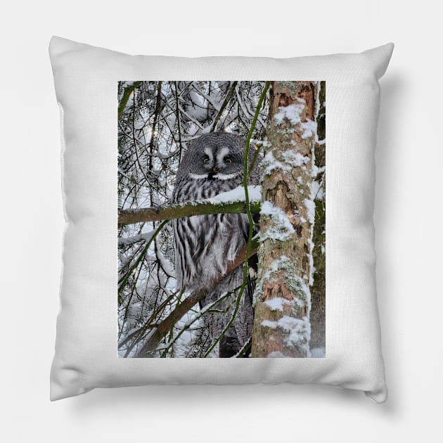 Lapland Pillow by ZoeBaruch