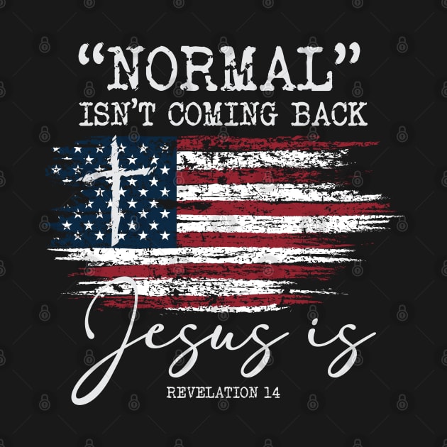 Normal Isn't Coming Back Hoodie by ds44
