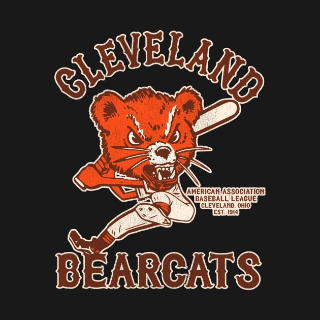 Defunct Cleveland Bearcats Baseball Team by Defunctland