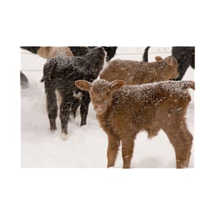 Calves in The Snow T-Shirt