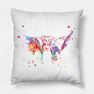 Sphenoid Bone Pillow